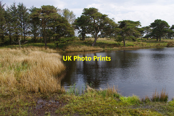 Photo 6"x4" Small tarn, Cragmire Plantation Goose Green\/SD5484 c2016