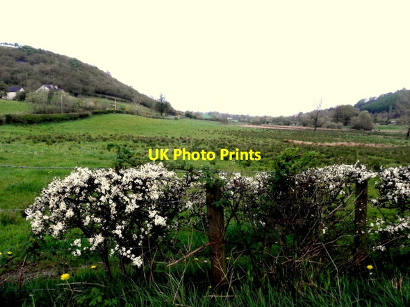 Photo 6"x4" Ballaghneed Townland Clogher\/H5351 c2016