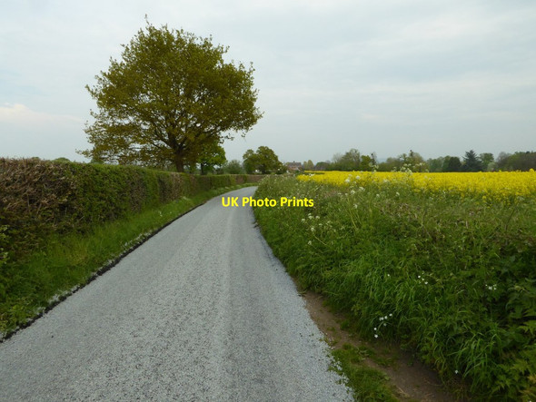 Photo 6"x4" Quay Lane Earl's Croome c2016