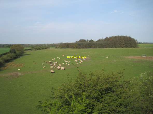 Photo 6"x4" View from a Newcastle-Edinburgh train - farmland near Stannington Shotton\/NZ2278 c2016