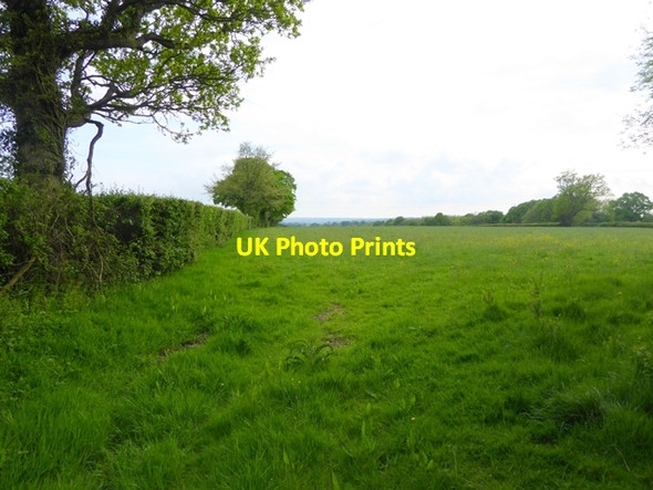 Photo 6"x4" Field at Shirkoak Shirkoak c2016