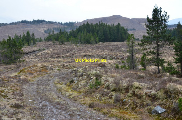 Photo 6"x4" Forest track, Attadale Strathan\/NG9338 c2016