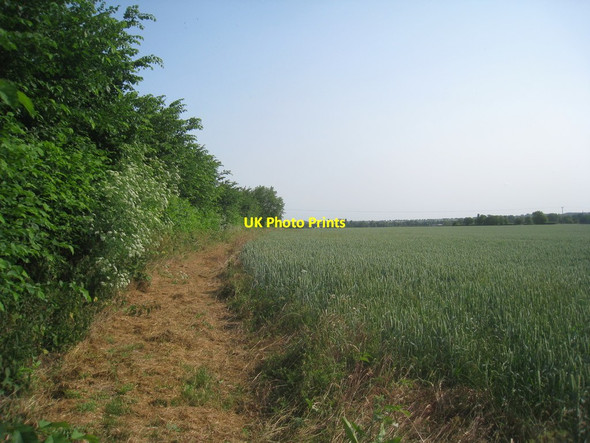 Photo 6"x4" Footpath to Hemingford Abbots Godmanchester c2013