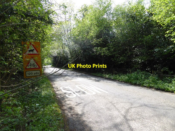 Photo 6"x4" Looking westwards on Wallage Lane Worth\/TQ3036 c2016