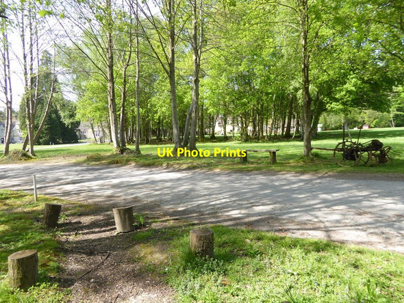 Photo 6"x4" Path to Rowfant House Down Park c2016