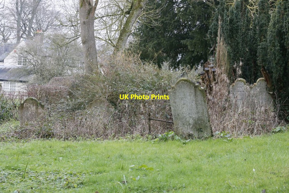 Photo 6"x4" A Forgotten Corner Ovington\/SU5631 c2016