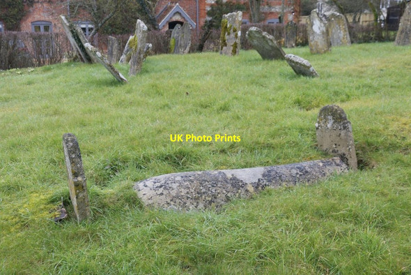 Photo 6"x4" Leaning all over the place Ovington\/SU5631 c2016