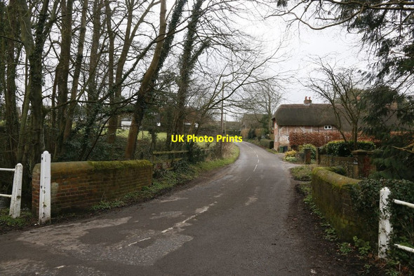 Photo 6"x4" Over the Bridge to Ovington Ovington\/SU5631 c2016