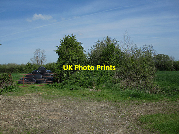 Photo 6"x4" Old Laneway Maddockstown c2016