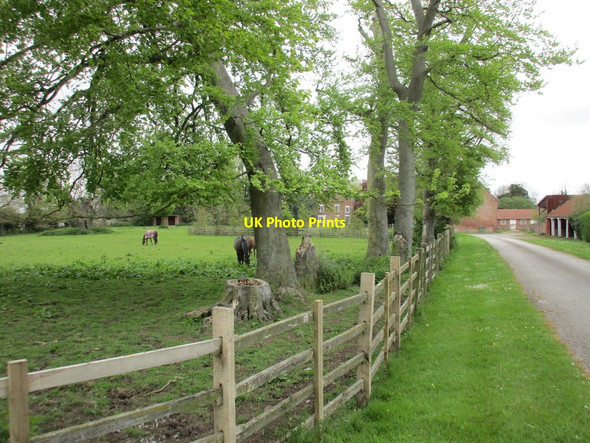 Photo 6"x4" Driveway to Manor Farm Humberston\/TA3105 c2016