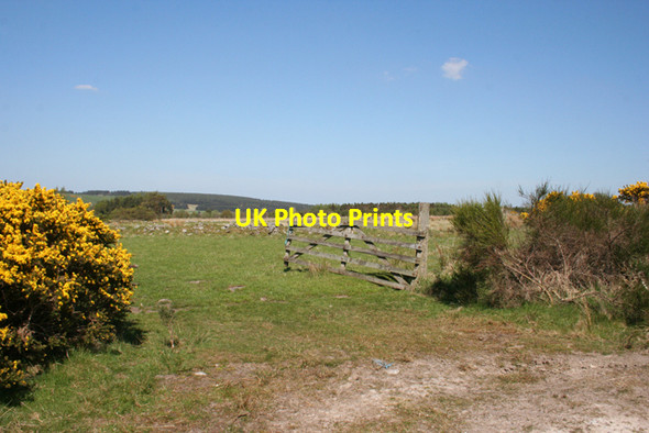 Photo 6"x4" Field Entrance Kellas\/NJ1754 c2016