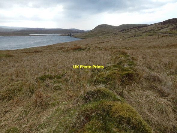 Photo 6"x4" Old field boundary Overton\/NS2674 c2016 P1