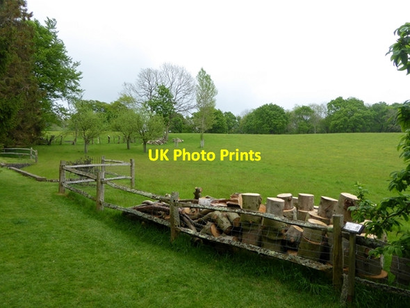 Photo 6"x4" Pile of logs at Pashley Manor Berner's Hill c2016
