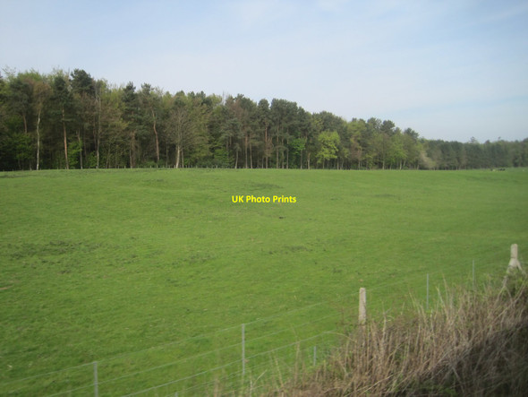 Photo 6"x4" View from a Newcastle-Edinburgh train - farmland and woodland near Fallodon Hall Embleton\/NU2322 c2016