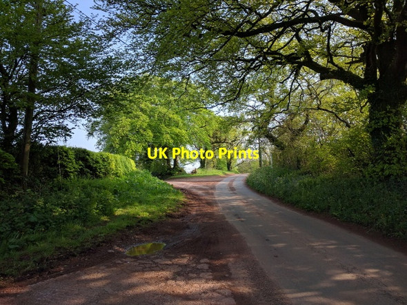 Photo 6"x4" Christ Cross junction, looking south towards Silverton Livingshayes c2016