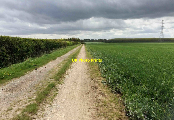 Photo 6"x4" Bridleway to Barnoldby Le Beck Barnoldby le Beck c2016