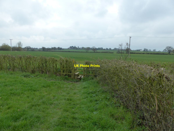 Photo 6"x4" Footpath to Tarvin Hollowmoor Heath c2016