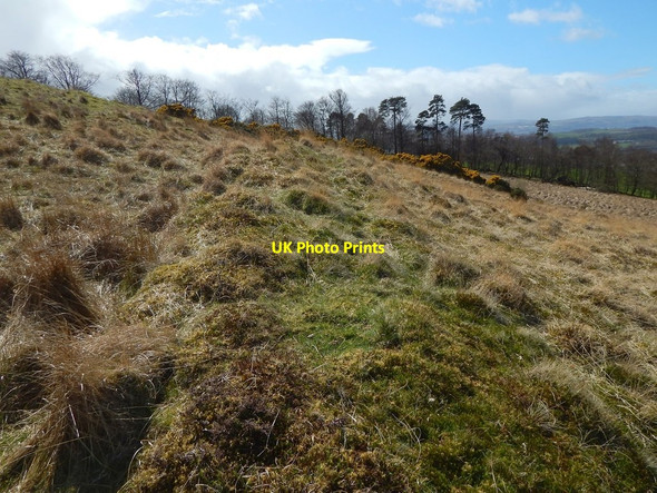 Photo 6"x4" Old boundary Dumbarton c2016 P1