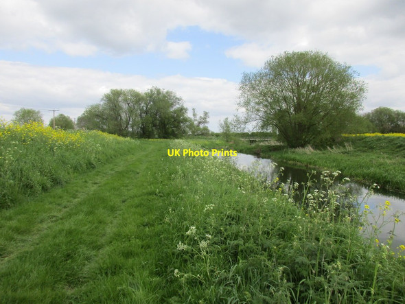 Photo 6"x4" The River Witham above Doddington Bridge Dry Doddington c2016