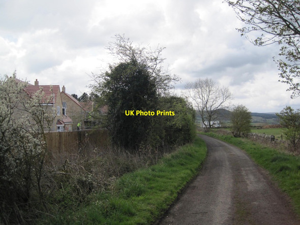 Photo 6"x4" Bridleway towards Corbridge Corbridge c2016