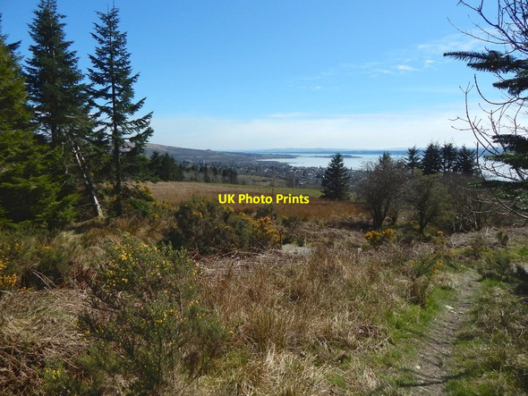 Photo 6"x4" Path in Milburn Wood Helensburgh c2016