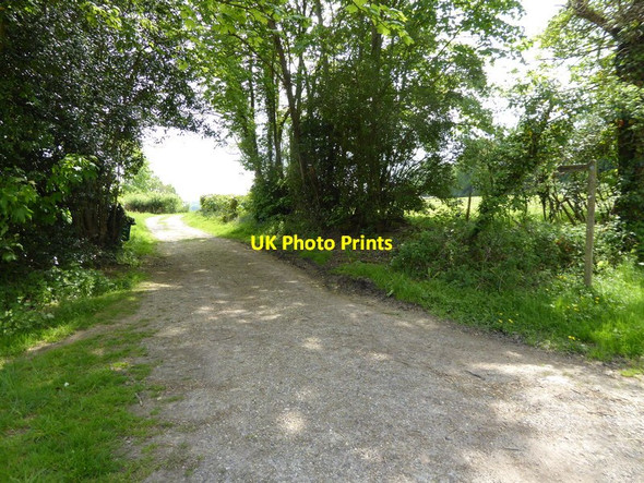 Photo 6"x4" Footpath goes south from Staplefield Common Staplefield c2016