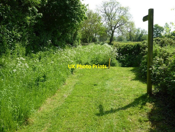 Photo 6"x4" Footpath to Baughton Baughton c2016