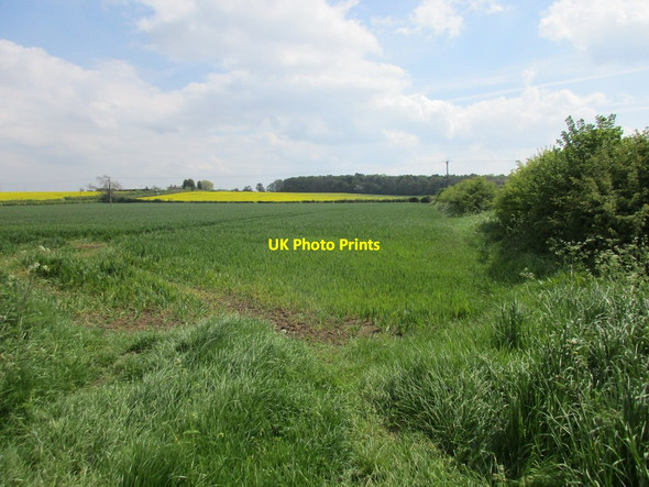 Photo 6"x4" View towards Bass Wood Lea\/SK8286 c2016