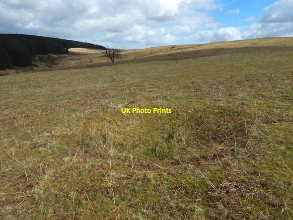 Photo 6"x4" Bomb crater Bonhill c2016