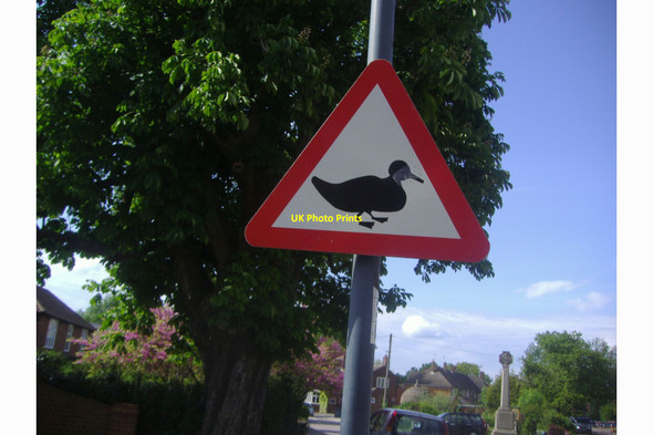 Photo 6"x4" Beware of the duck sign, London Road, Shenley Shenley c2009
