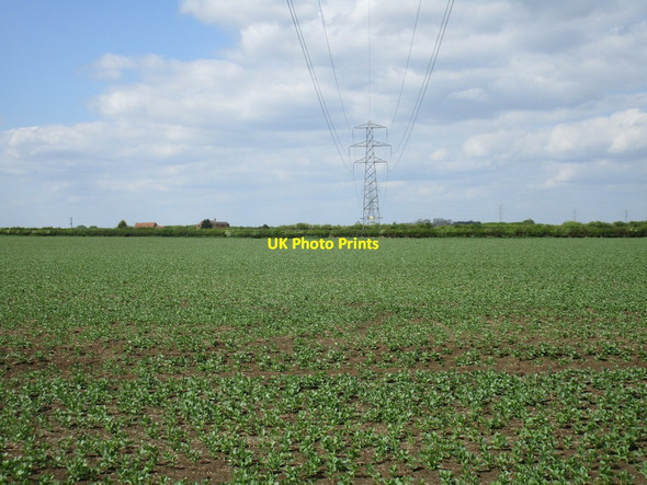 Photo 6"x4" Beneath the power lines Aslockton c2016