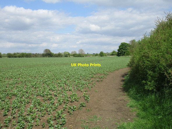 Photo 6"x4" Footpath to Orston Aslockton c2016