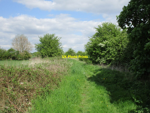 Photo 6"x4" Footpath to Orston Aslockton c2016 P1