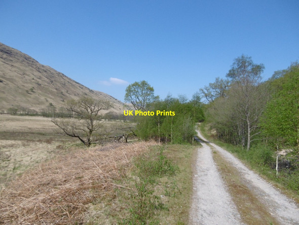 Photo 6"x4" The new Glen Kinglass road Narrachan\/NN1136 c2016