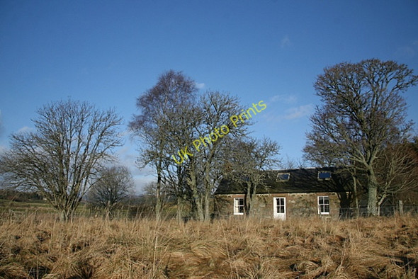 Photo 6"x4" Needs Cottage Freuchies c2009