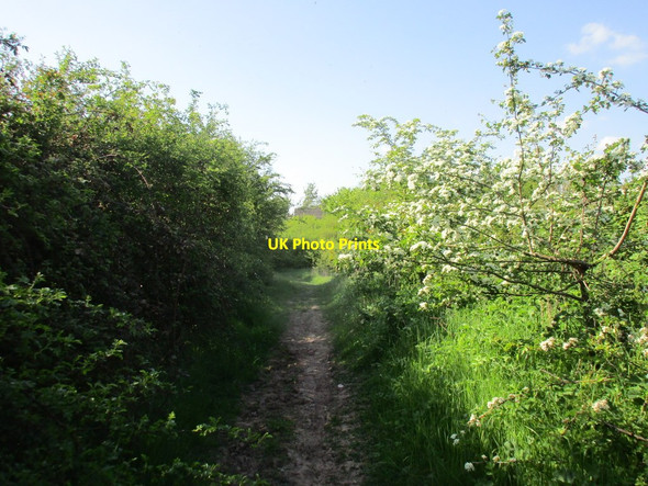 Photo 6"x4" Bridleway to Orston Elton on the Hill c2016 P1