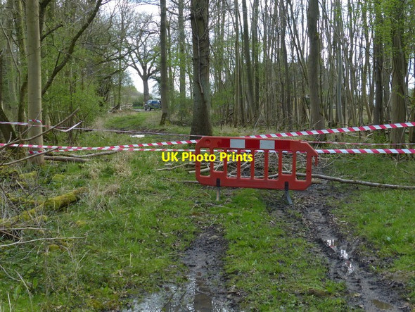Photo 6"x4" Closed bridleway in Bluestone Covert Polebrook c2016