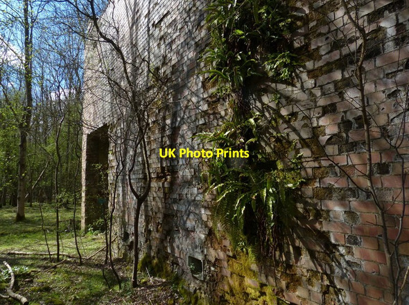 Photo 6"x4" Old building in the woods Chapel End\/TL1187 c2016