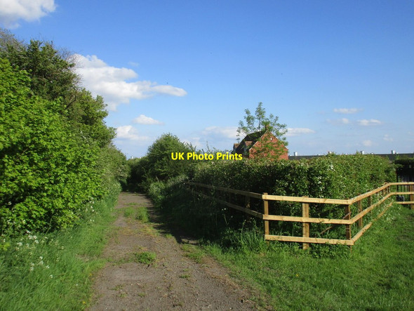 Photo 6"x4" Longhedge Lane Flawborough c2016