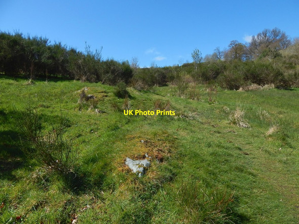 Photo 6"x4" Path in the Fereneze Hills Barrhead c2016