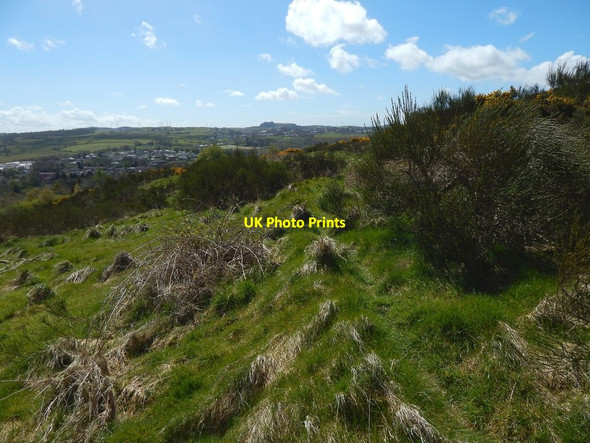 Photo 6"x4" Remnants of a path Barrhead c2016 P1