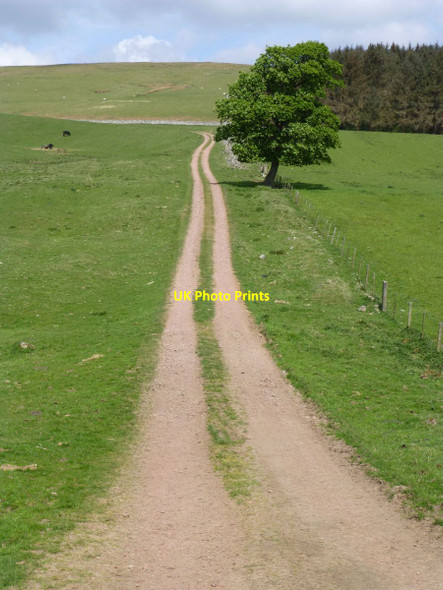 Photo 6"x4" Public bridleway to Puncherton Clennell c2016