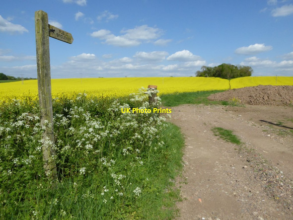 Photo 6"x4" Bridleway to the Brakes Hill Croome c2016