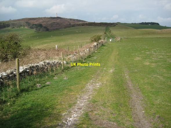 Photo 6"x4" Bridleway on Bronkham Hill Coryates c2012