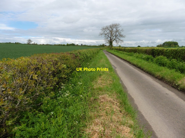 Photo 6"x4" Currymead Lane Wiltown\/ST3824 c2016