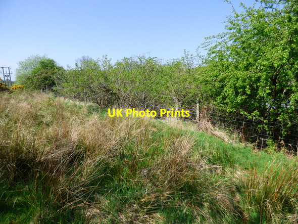 Photo 6"x4" Site of Ravenscraig railway station Gourock c2016 P1