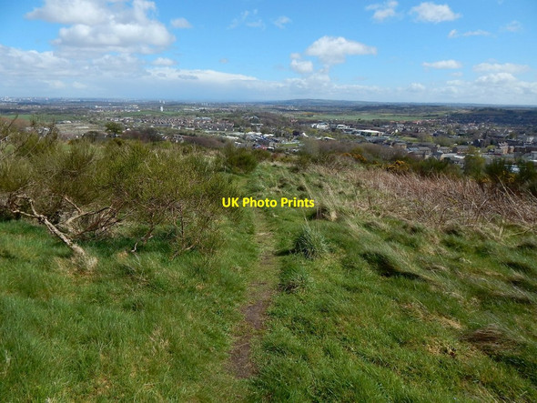 Photo 6"x4" Path in the Fereneze Hills Barrhead c2016