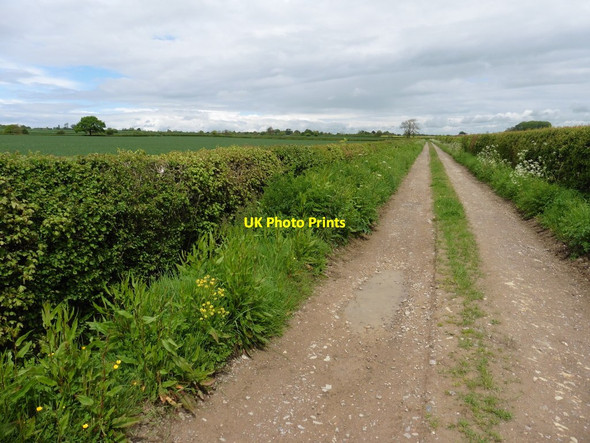 Photo 6"x4" Burton Mead Drove Wiltown\/ST3824 c2016