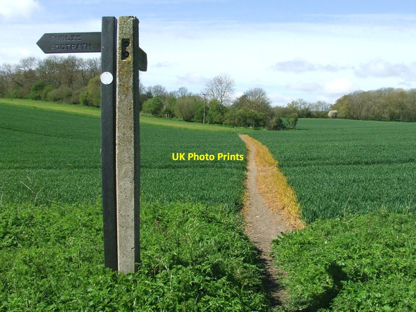 Photo 6"x4" Footpath Signs And Path Strethall c2016
