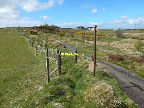 Photo 6"x4" Path to Killoch Glen Barrhead c2016